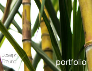 bamboo-portfolio